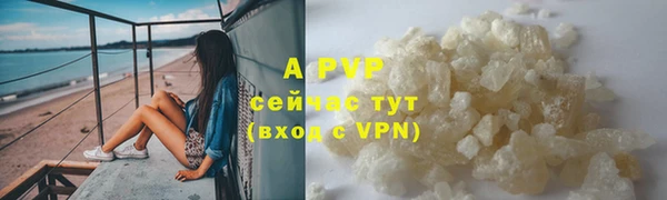 ГАЛЛЮЦИНОГЕННЫЕ ГРИБЫ Пестово