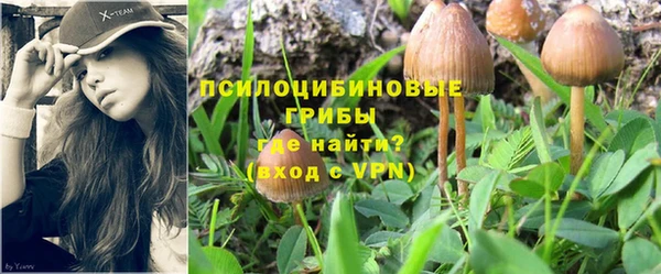 МДПВ Арсеньев