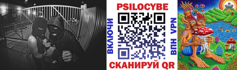 Псилоцибиновые грибы Psilocybine cubensis  купить   Партизанск 